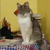 Отзыв от Олеся Озерова